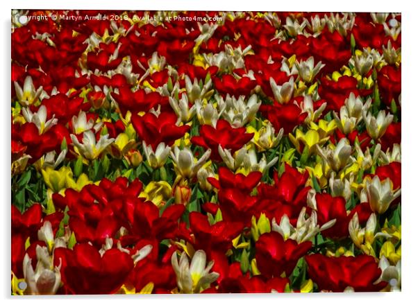 Tulip Tapestry Acrylic by Martyn Arnold