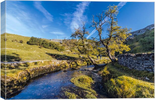 Approach to Malham Cove Canvas Print by Kerri Dowling
