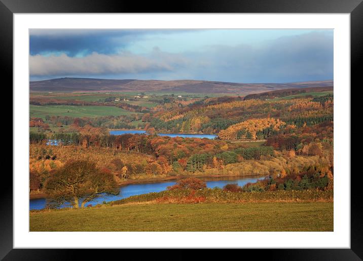 Washburn Valley in Autumn Framed Mounted Print by William A Dobson