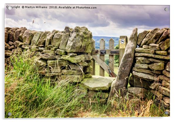 Stone Wall, Derbyshire Acrylic by Martyn Williams