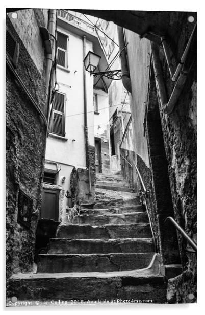 Streets of Riomaggiore Acrylic by Ian Collins