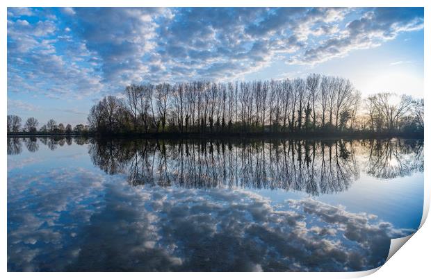 Reflections, Ellerton Park, Yorkshire Print by Dave Collins