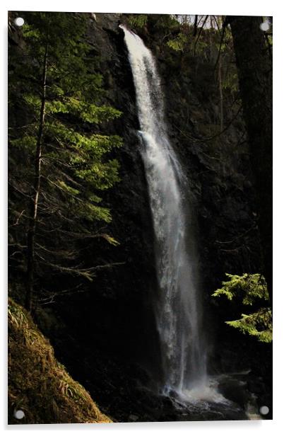 The Plodda Falls Glen Affric Acrylic by alan todd