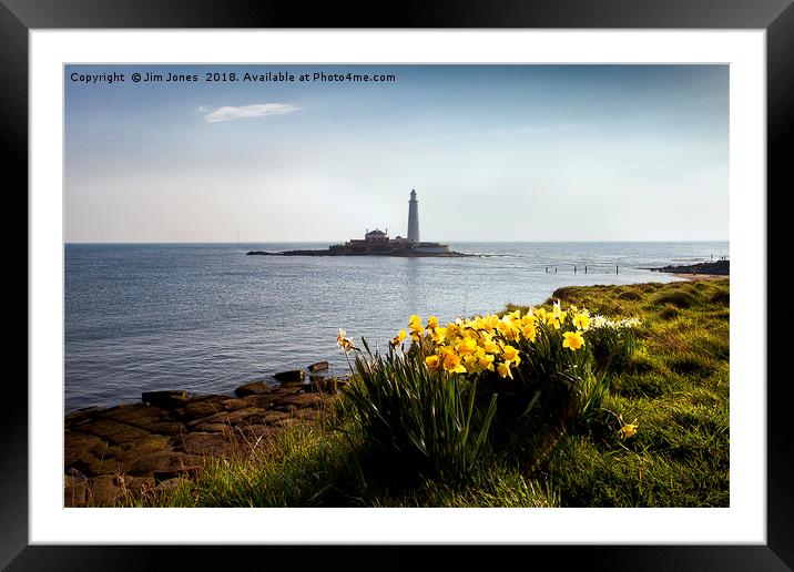 Springtime at St. Mary's Island Framed Mounted Print by Jim Jones