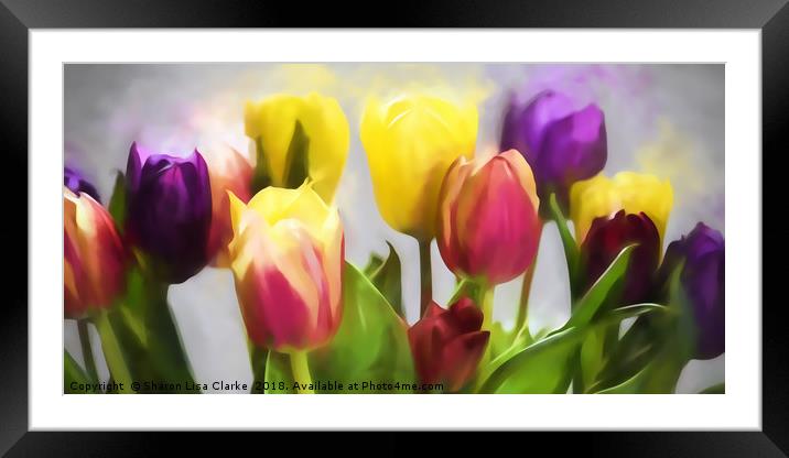Tulip Haze Framed Mounted Print by Sharon Lisa Clarke