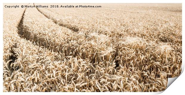 Wheat Field Print by Martyn Williams