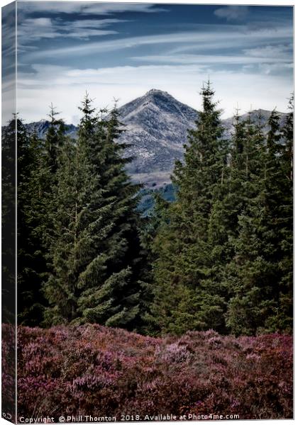 Glenshant Hill and Goatfell, Isle of Arran  Canvas Print by Phill Thornton