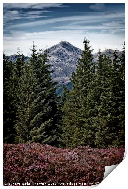 Glenshant Hill and Goatfell, Isle of Arran  Print by Phill Thornton