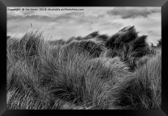 Sand Dunes in Black and White Framed Print by Jim Jones