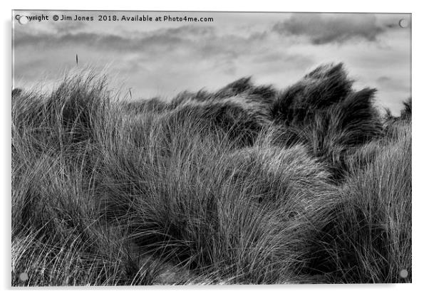 Sand Dunes in Black and White Acrylic by Jim Jones