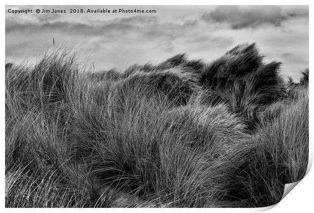 Sand Dunes in Black and White Print by Jim Jones