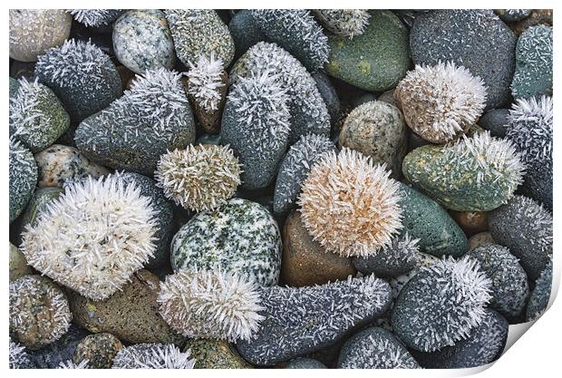 Frost on the rocks Print by Darryl Luscombe