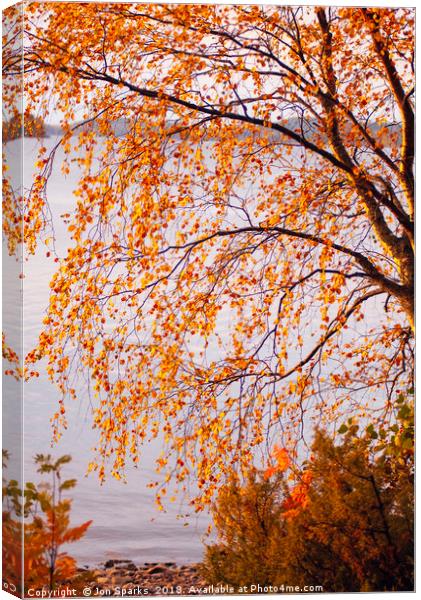 Autumn colours, Lake Pielinen Canvas Print by Jon Sparks