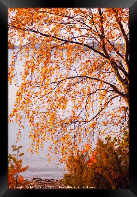 Autumn colours, Lake Pielinen Framed Print by Jon Sparks