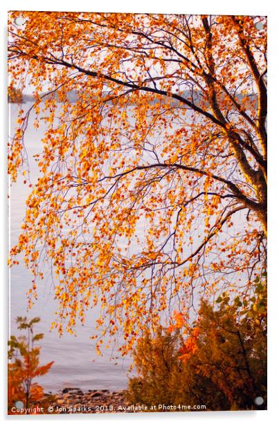 Autumn colours, Lake Pielinen Acrylic by Jon Sparks