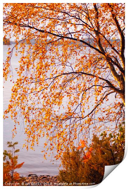 Autumn colours, Lake Pielinen Print by Jon Sparks