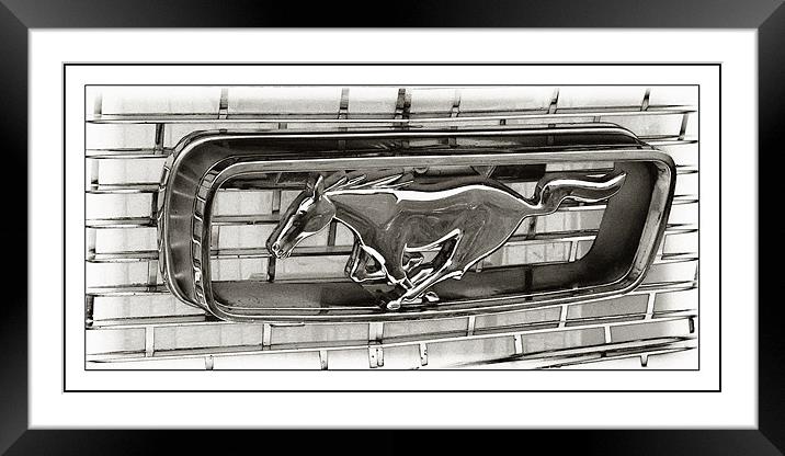 Mustang Framed Mounted Print by Sam Smith