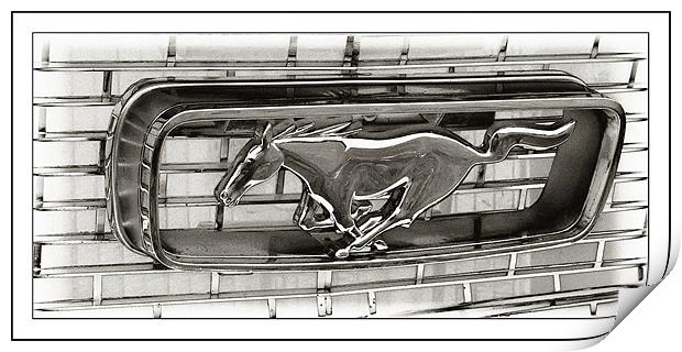 Mustang Print by Sam Smith