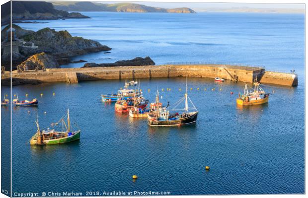 Mevagissey outer harbour Canvas Print by Chris Warham
