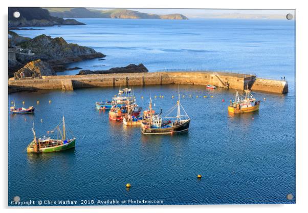 Mevagissey outer harbour Acrylic by Chris Warham