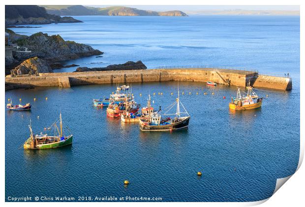 Mevagissey outer harbour Print by Chris Warham
