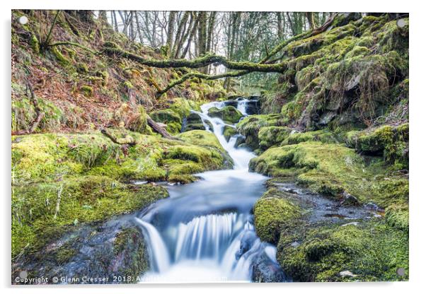 Venford Brook Dartmoor Acrylic by Glenn Cresser