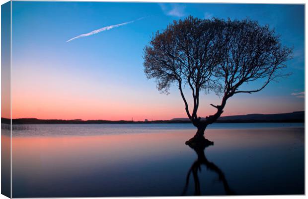                                The Lonely Tree Canvas Print by jason jones