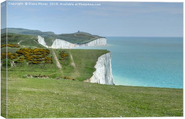 The Seven Sisters Cliffs Sussex. Canvas Print by Diana Mower