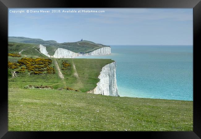 The Seven Sisters Cliffs Sussex. Framed Print by Diana Mower