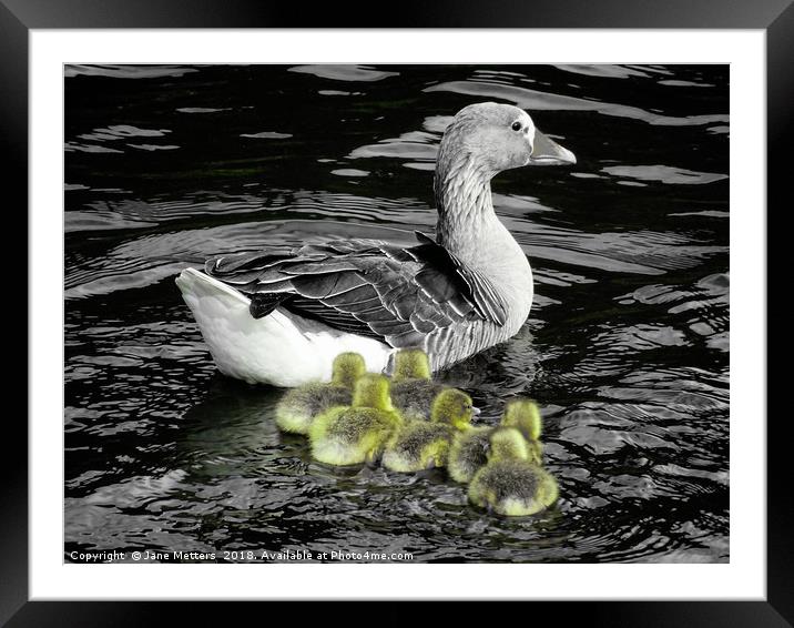   Keeping up with Mum                              Framed Mounted Print by Jane Metters