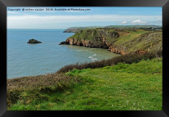 COASTAL DEVON Framed Print by andrew saxton