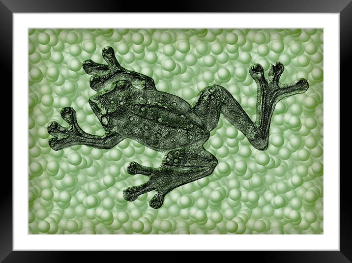 frog Framed Mounted Print by Heather Newton