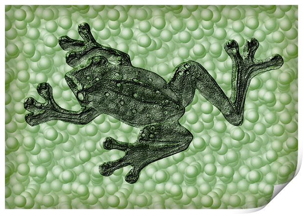 frog Print by Heather Newton
