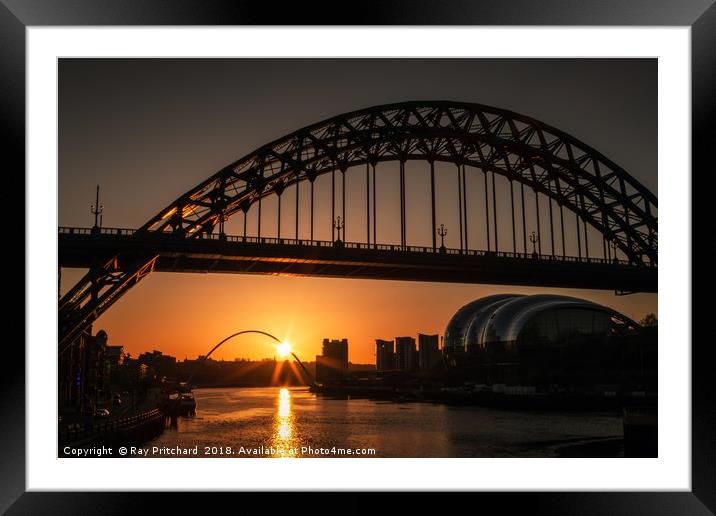 Tyne Bridge Sunrise  Framed Mounted Print by Ray Pritchard