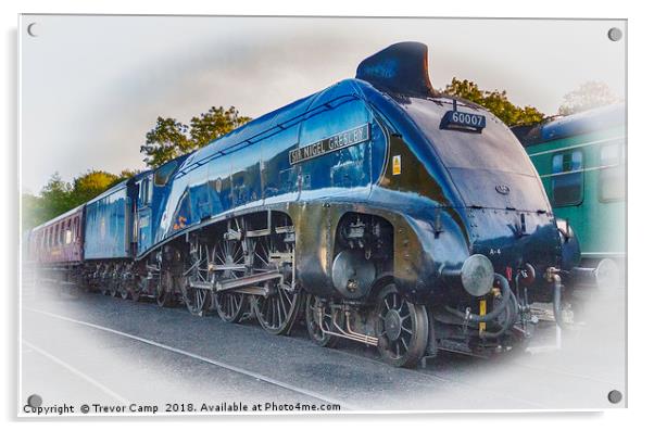 Parked at Grosmont Acrylic by Trevor Camp