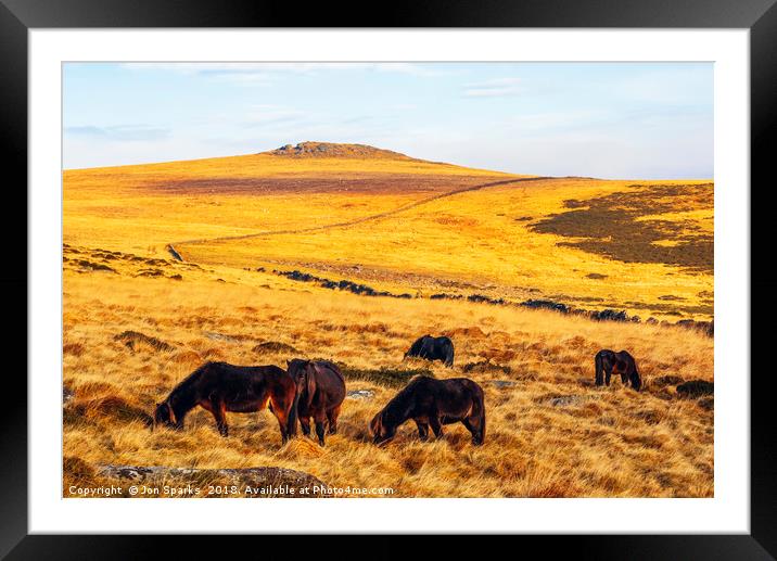Dartmoor ponies and Higher White Tor Framed Mounted Print by Jon Sparks