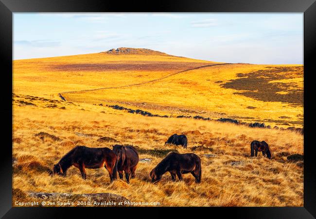 Dartmoor ponies and Higher White Tor Framed Print by Jon Sparks