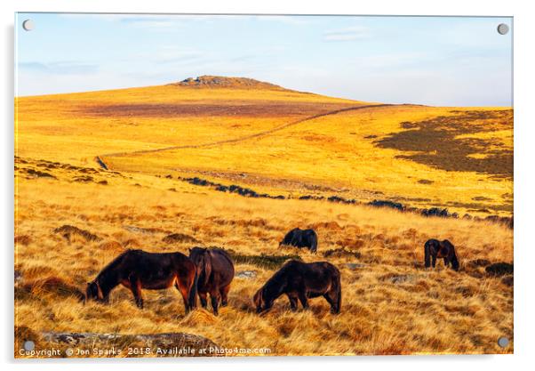 Dartmoor ponies and Higher White Tor Acrylic by Jon Sparks