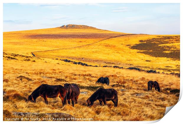 Dartmoor ponies and Higher White Tor Print by Jon Sparks