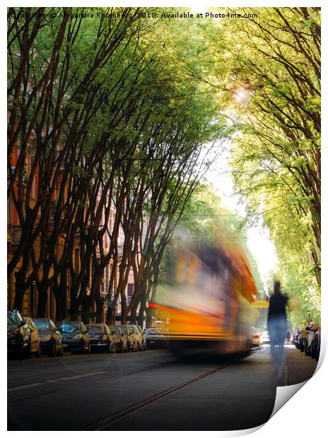 Moving tram on tree-lined path  Print by Alexandre Rotenberg