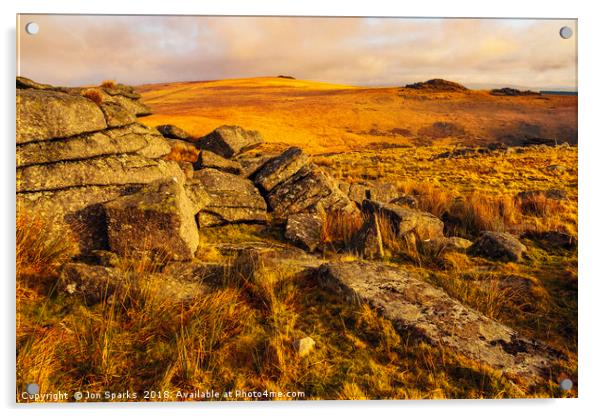 Granite outcrop, Dartmoor Acrylic by Jon Sparks