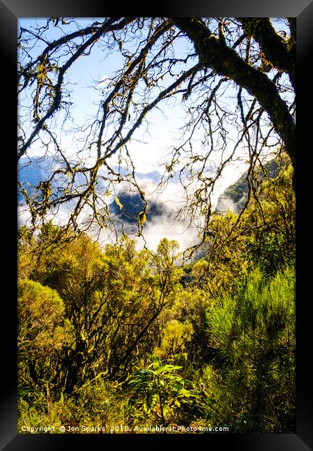 Cloud forest, Madeira Framed Print by Jon Sparks