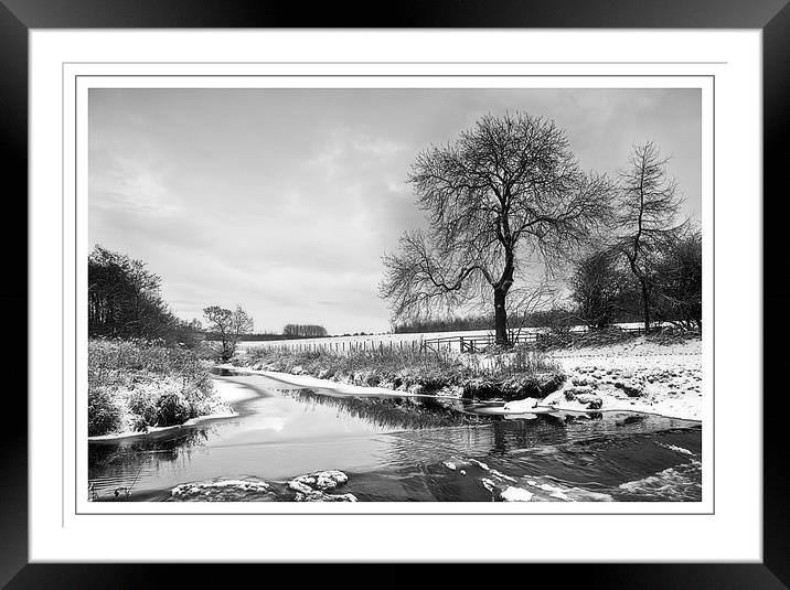 Country Park Framed Mounted Print by Sam Smith
