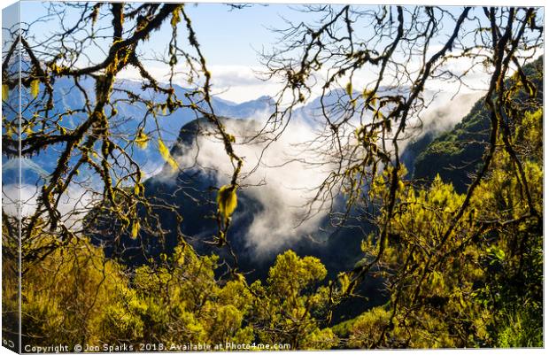 Cloud forest 2, Madeira Canvas Print by Jon Sparks