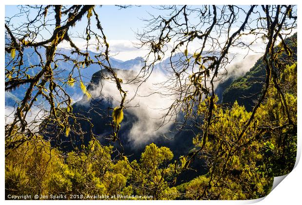 Cloud forest 2, Madeira Print by Jon Sparks