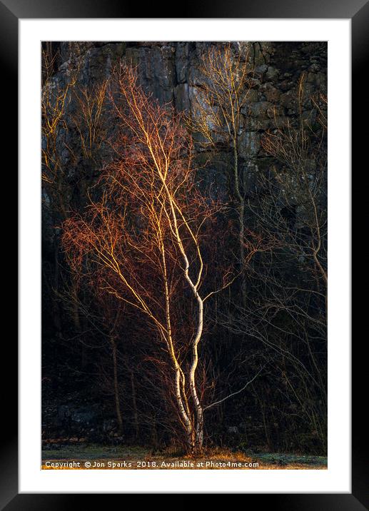 Birch tree and rockface Framed Mounted Print by Jon Sparks
