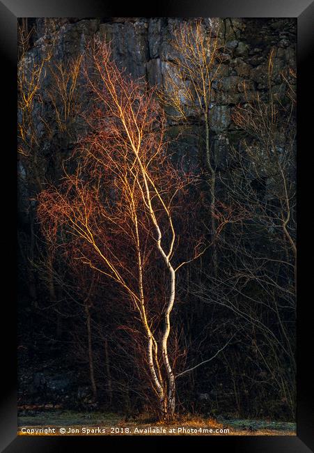Birch tree and rockface Framed Print by Jon Sparks