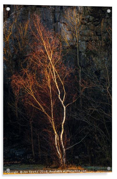 Birch tree and rockface Acrylic by Jon Sparks