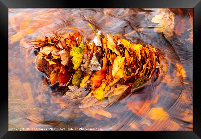 Leaves in the stream Framed Print by Jon Sparks