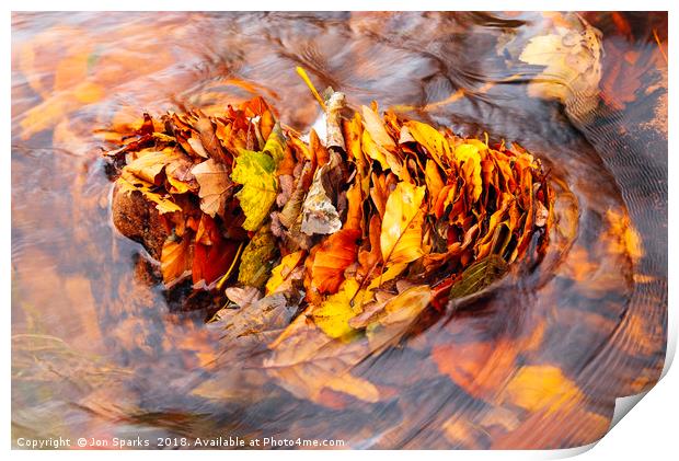 Leaves in the stream Print by Jon Sparks